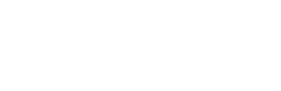 Logo de Next level Racing