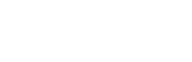 Next Level Racing